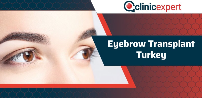 Eyebrow Transplant Turkey