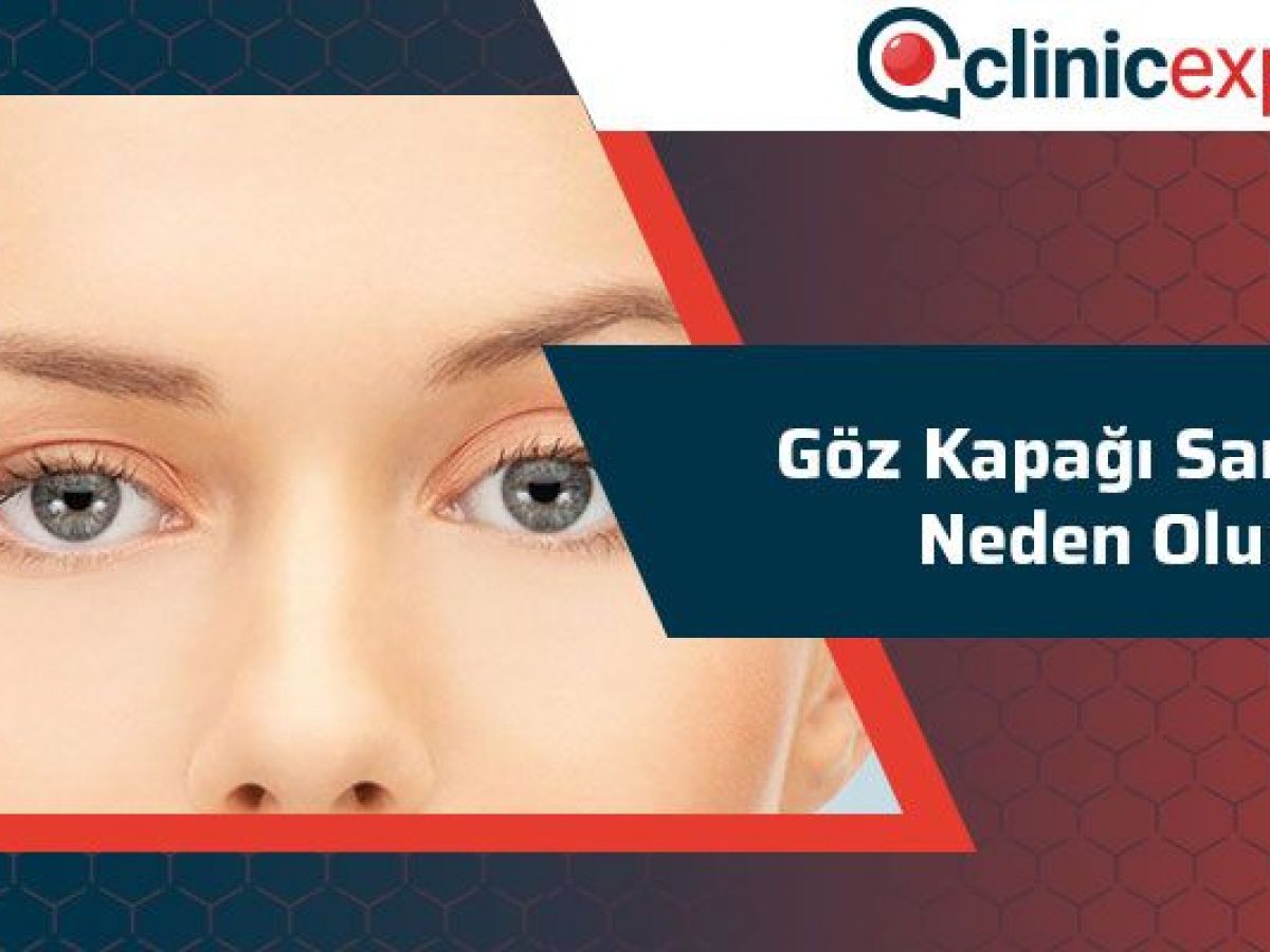 ayı yogi filmi izle www hdxaltyazili com